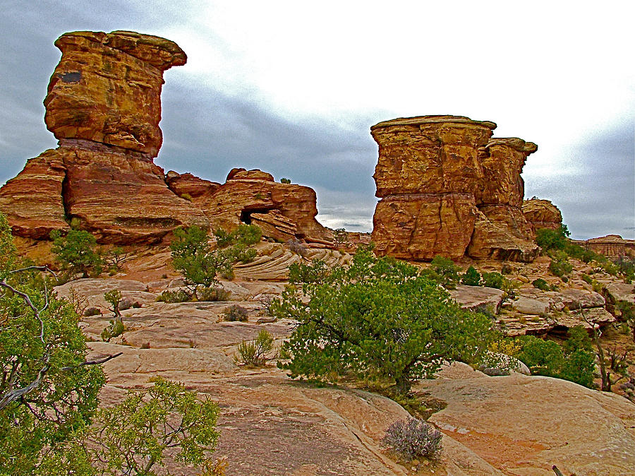 Big Spring Canyon Overlook in Needles District of Canyonlands National Park-Utah Photograph by Ruth Hager