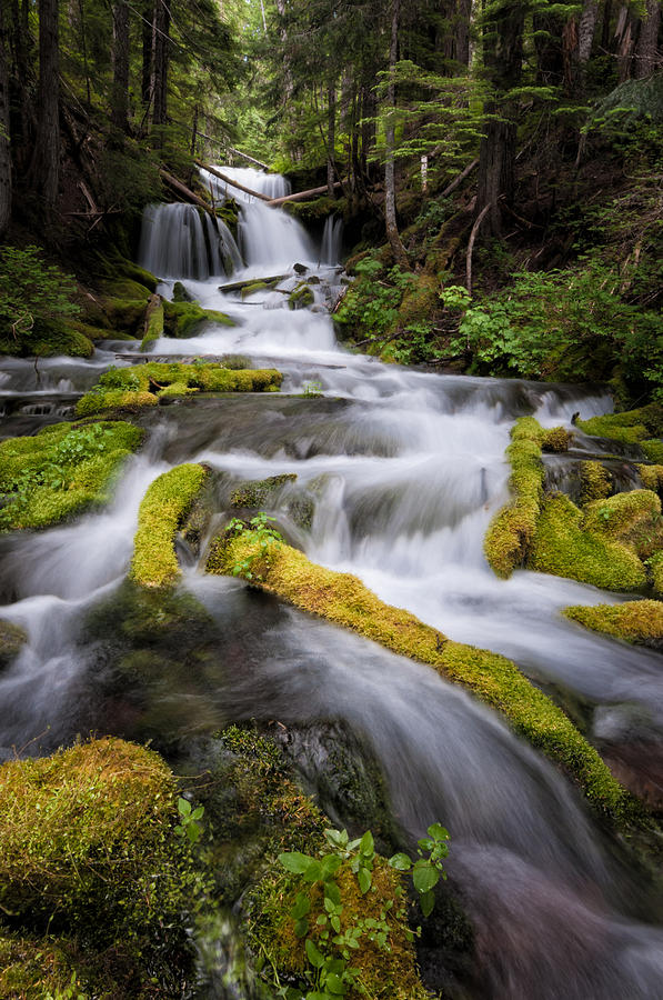 Big Spring Creek Falls  Photograph by Brian Bonham