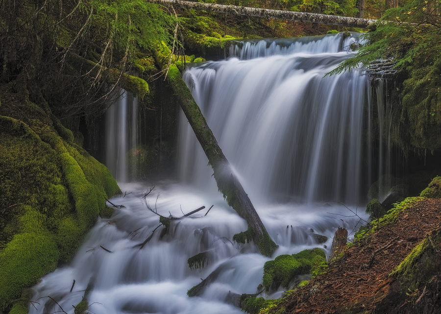 Big Spring Creek Falls - Middle Photograph by Loree Johnson