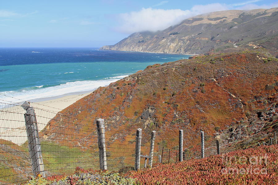 Big Sur Beauty Photograph by Suzanne Oesterling
