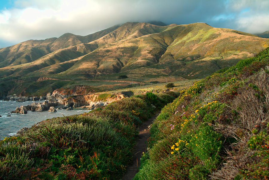 Big Sur Trail at Soberanes Point Photograph by Charlene Mitchell