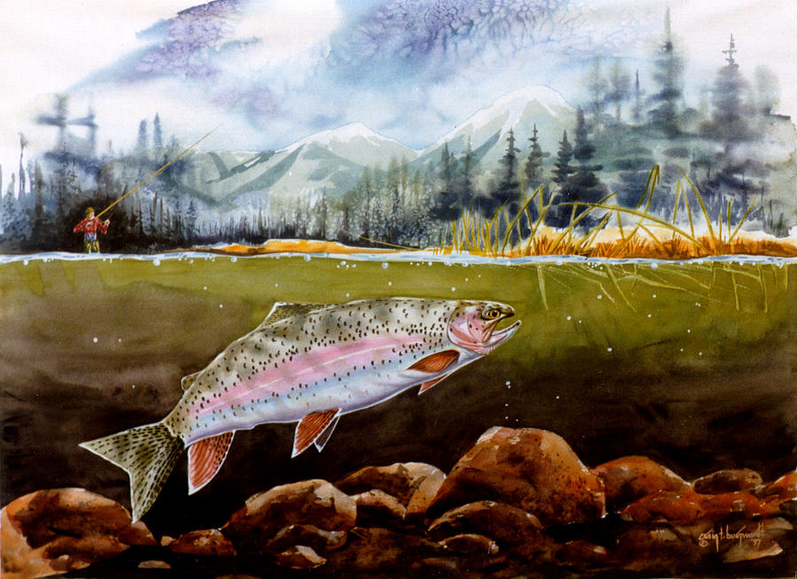 Big Thompson Trout Painting by Craig Burgwardt