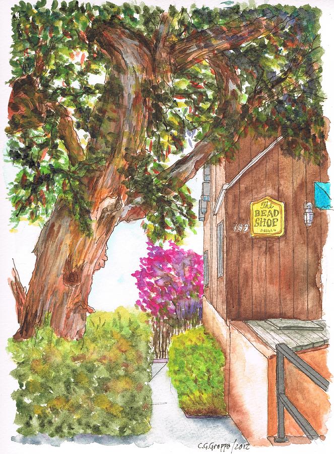 Big tree at the Bead Shop, Laguna Beach, California Painting by Carlos G Groppa