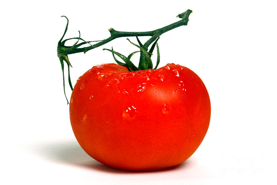 Tomato Photograph - Big Tomato by Olivier Le Queinec