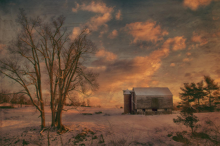 Big Tree Little Barn Photograph by Kathy Jennings