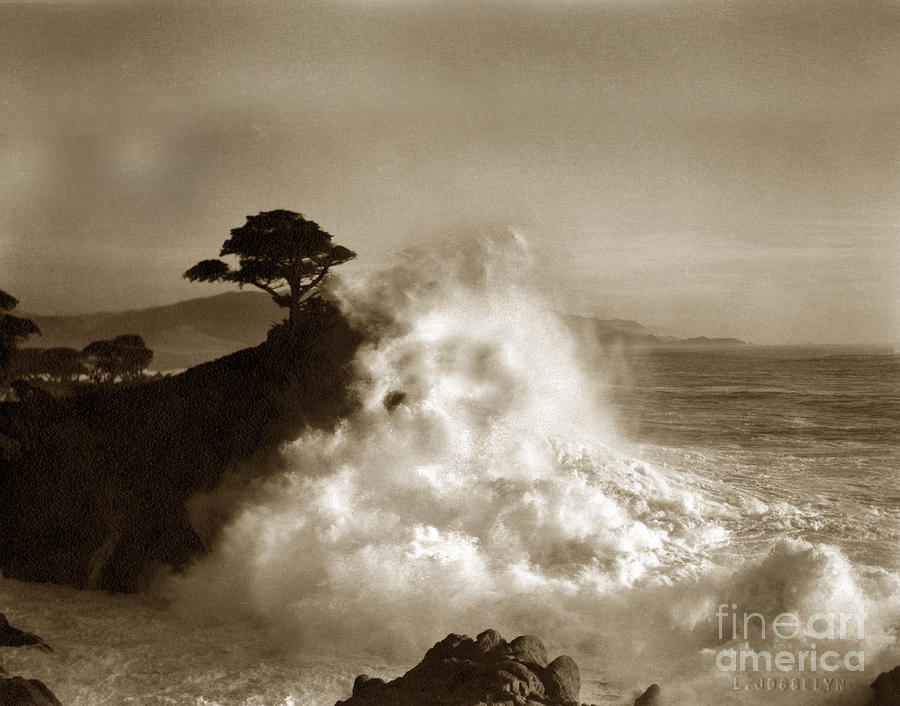 Tree Photograph - Big Wave hitting the Lone Cypress Tree Pebble Beach California 1916 by Monterey County Historical Society