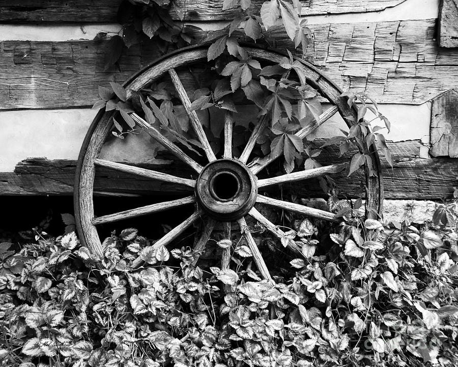 Big Wheel bw Photograph by Mel Steinhauer