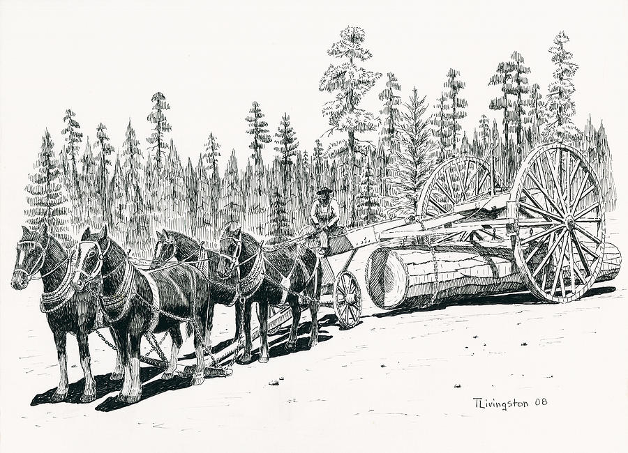 Big Wheels Drawing by Timothy Livingston