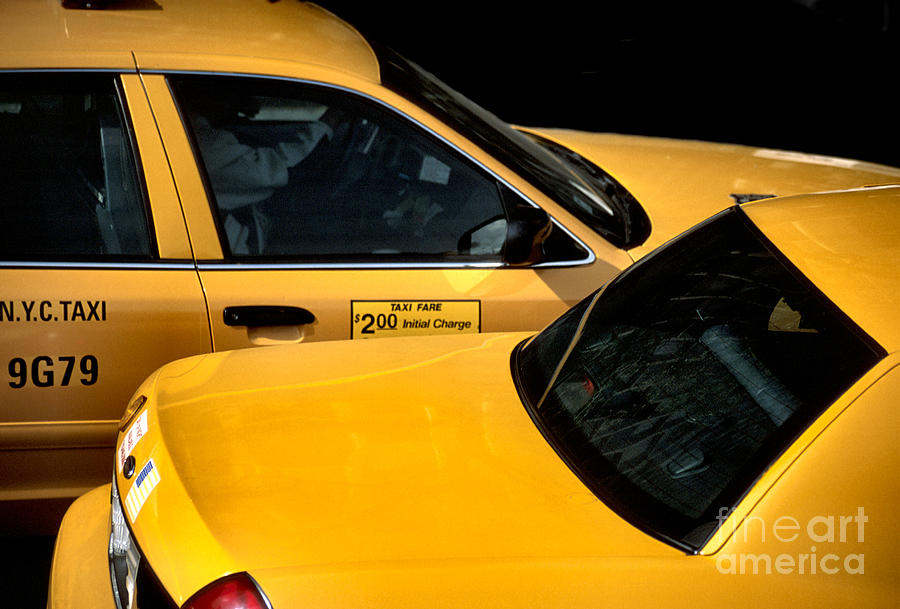 Big Yellow Taxis Photograph by Liz Leyden