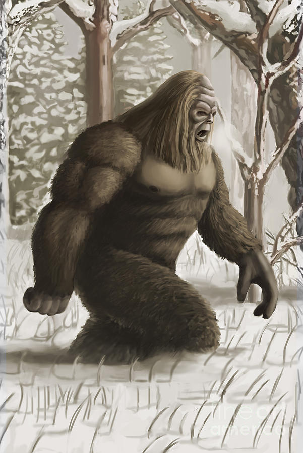 Illustration Photograph - Bigfoot by Spencer Sutton