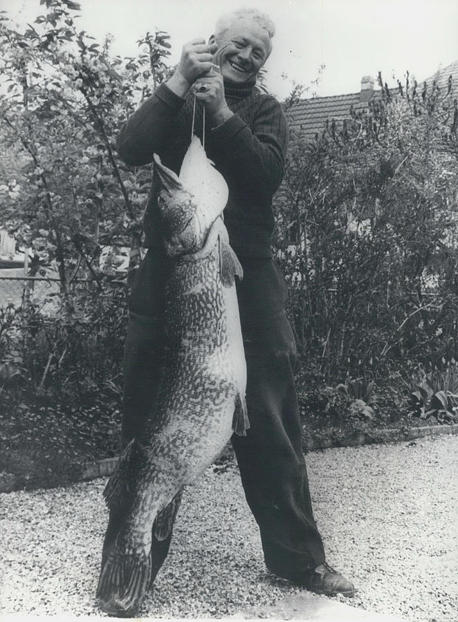 Biggest Pike Ever Caught In Switzerland Photograph by Retro Images Archive