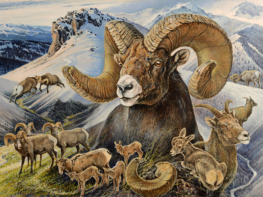 Bighorn lifescape Painting by Steve Spencer