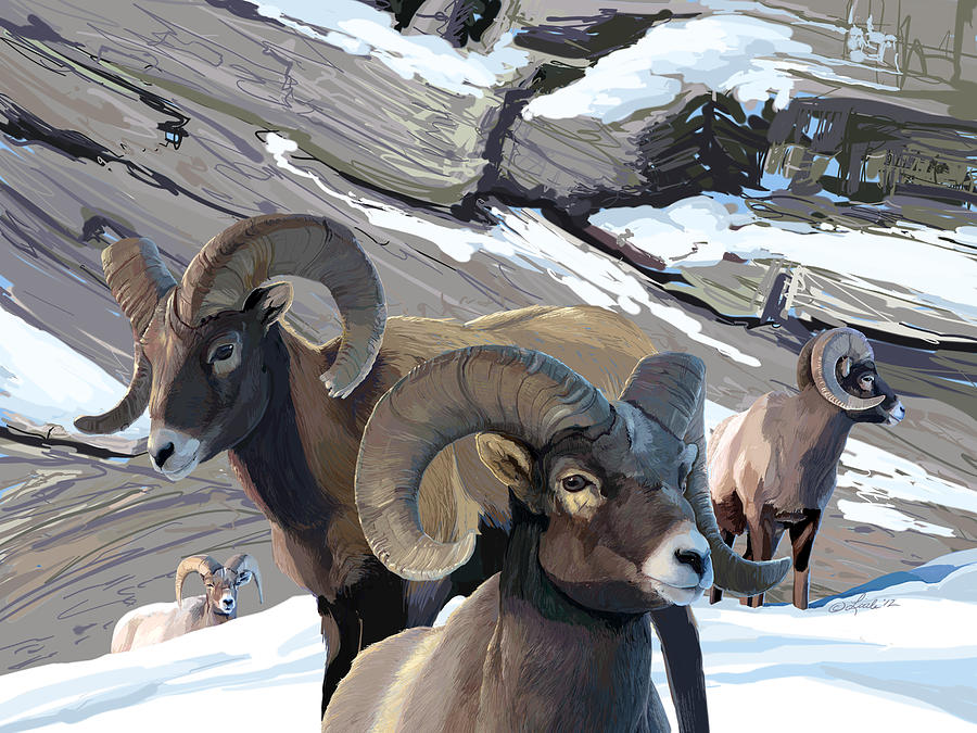 Bighorn Rams Painting by Pam Little