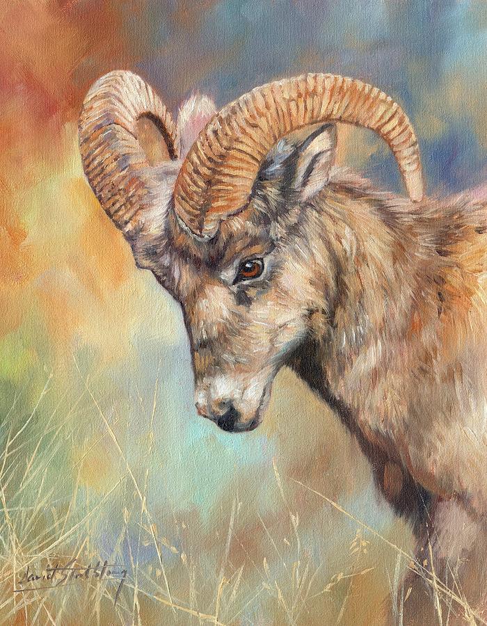 Sheep Painting - Bighorn Sheep by David Stribbling