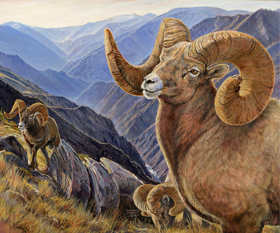 Bighorn Trio Painting by Steve Spencer