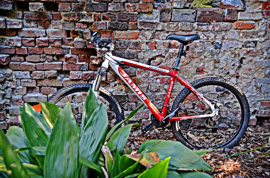 Bike Against Brick Photograph by Linda Brown
