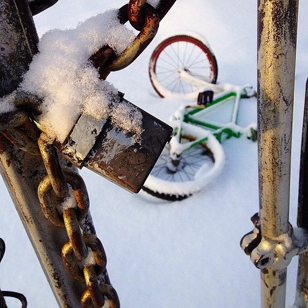 Sunset Photograph - #bike #bicycle #snow #blanket #covered by Audrey Devotee