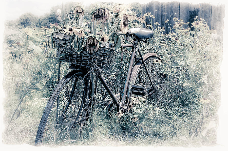 Bike in Field Photograph by Joe Myeress