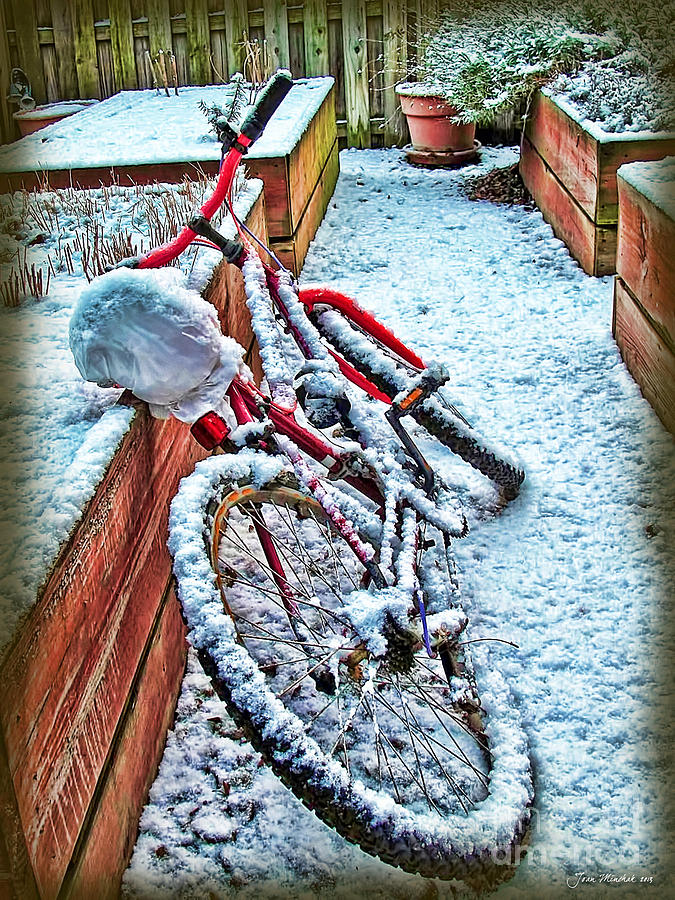Bike In Winter Photograph