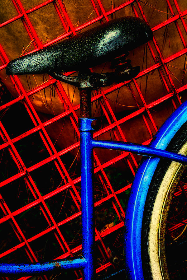 Bike Nostalgia Photograph by David Kay
