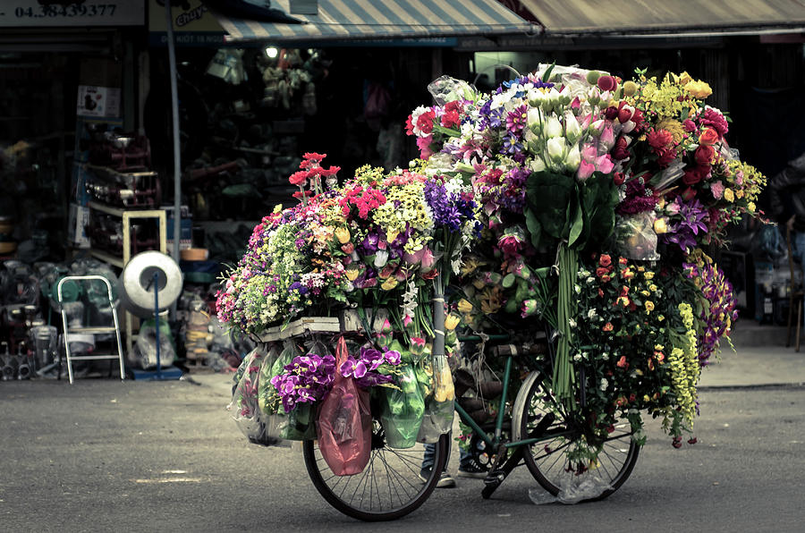 Bike Of Flowers Photograph by Jonas Ginter