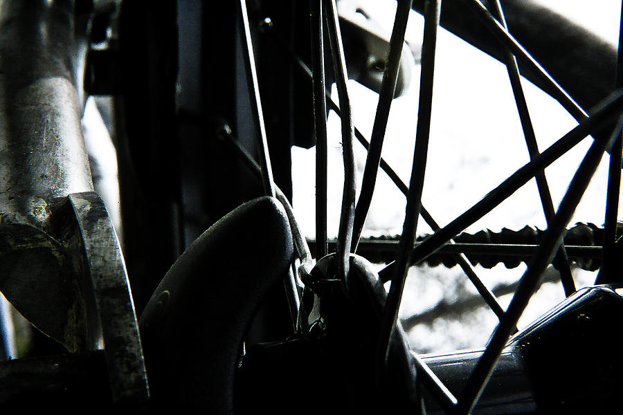 Bike Wheel Photograph by Joel Loftus