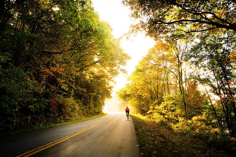 Biker Along Blue Ridge Parkway in Fall Photograph by Gray  Artus