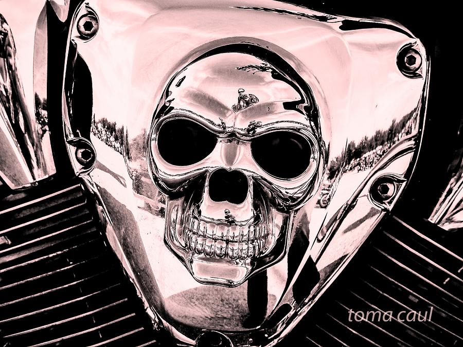 Bikers Skull Photograph by Toma Caul