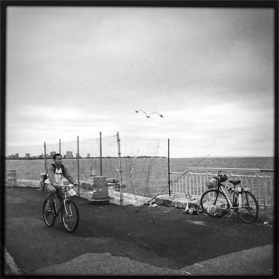 Bikes and Bird Photograph by Frank Winters