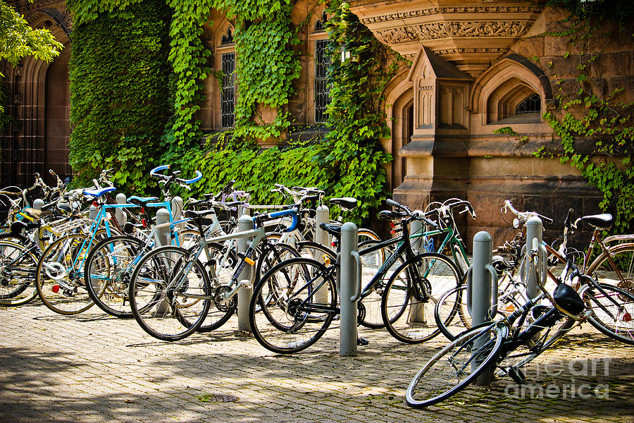 Princeton University Photograph - Bikes at East Pyne - Princeton University by Colleen Kammerer