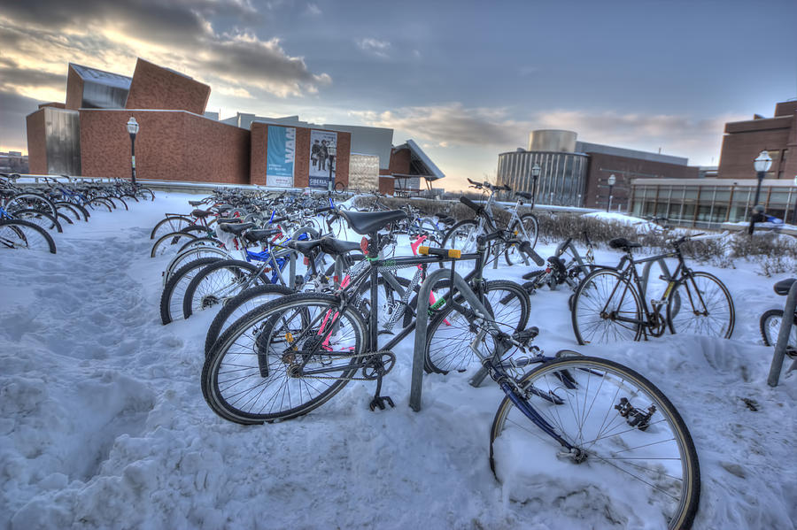 Bikes at University of Minnesota  Photograph by Amanda Stadther