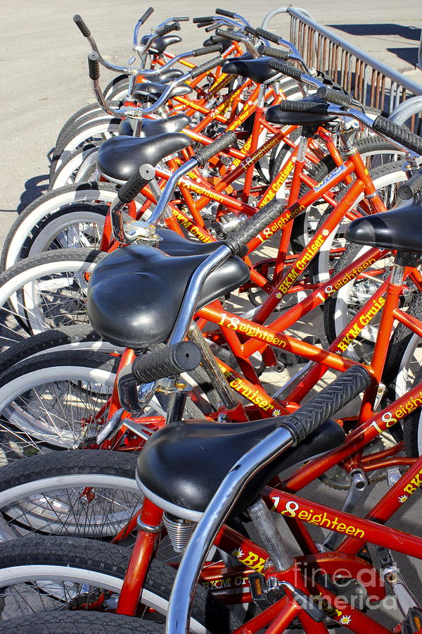 Bikes for Rent Photograph by Alice Terrill