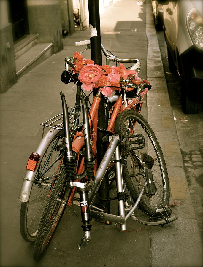 Bikes in Italy Photograph by Teresa Tilley