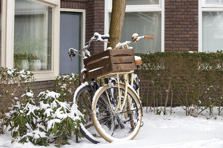 Bikes in the snow Photograph by Patricia Hofmeester