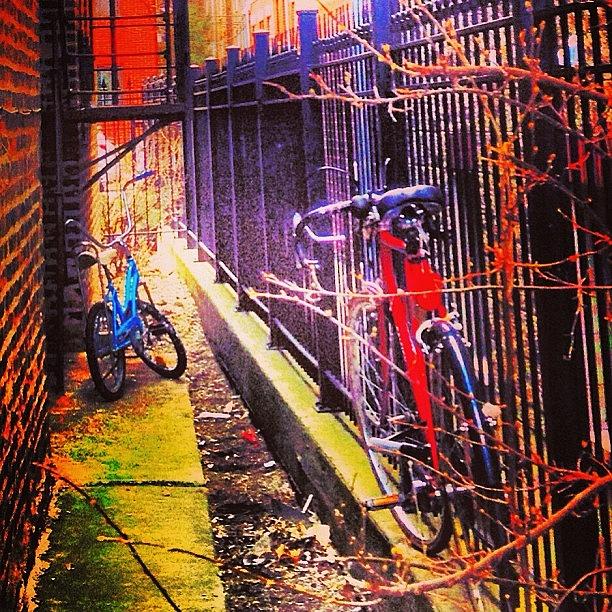 Chicago Photograph - #bikes#fences#uptown#chicago by Michael Green