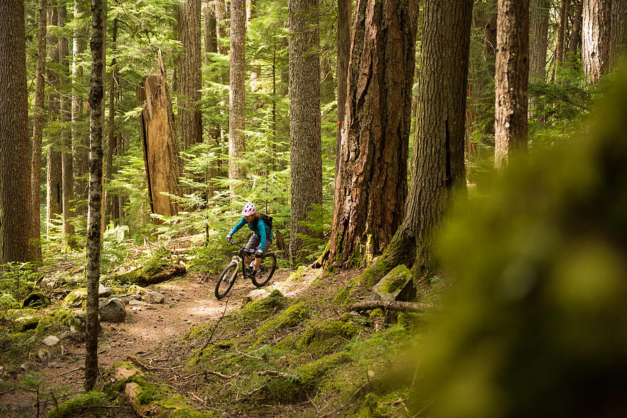 Biking in a pristine forest Photograph by stockstudioX