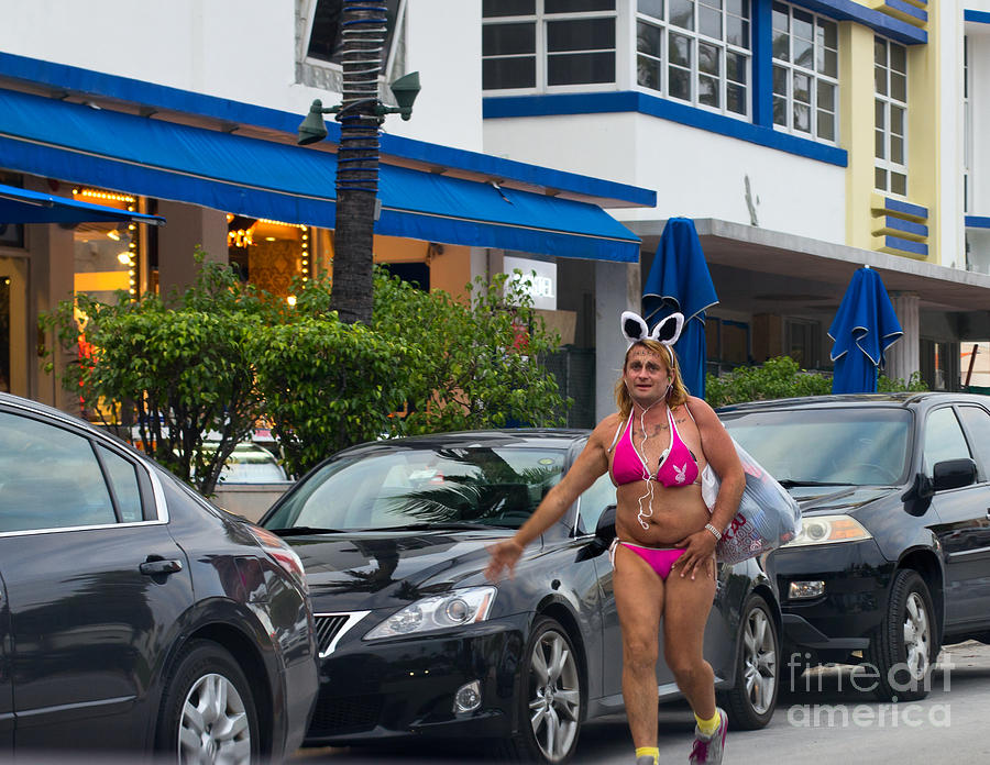 Bikini Bunny in Miami Photograph by Les Palenik
