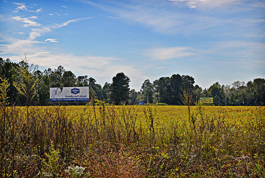 Billboards Over a Bean Field Photograph by Linda Brown