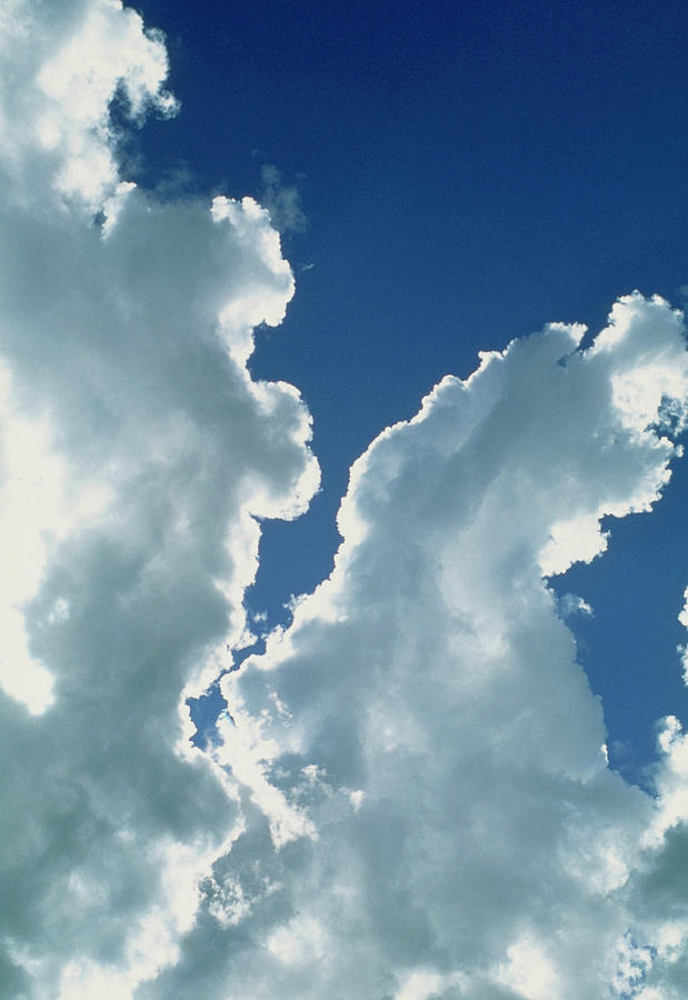 Billowing Bank Of Cumulus Clouds Photograph by Pekka Parviainen/science Photo Library