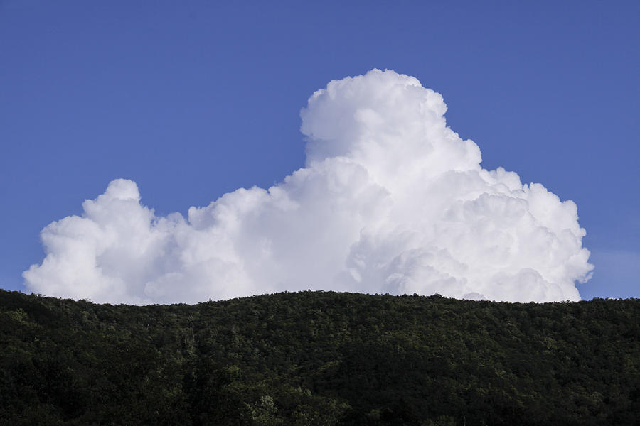 Billowing Clouds Photograph by Linda A Waterhouse - Fine Art America