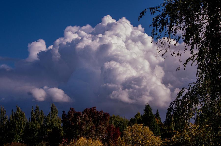 Billowy Clouds Photograph by Teresa Herlinger
