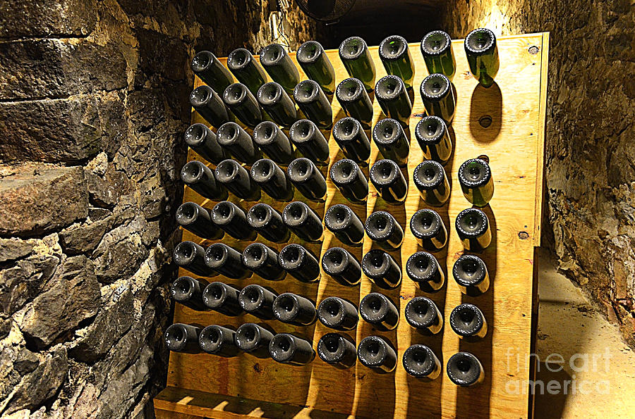 Biltmore Estate Wine Cellar -Stored Wine Bottles Photograph by Luther Fine Art