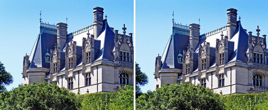Biltmore House in Stereo Photograph by Duane McCullough