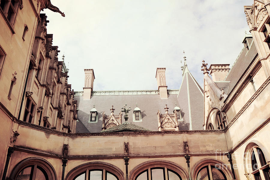 Biltmore Mansion Estate Rooftop Architecture - Italian Ornate Facade and Gargoyles Photograph by Kathy Fornal