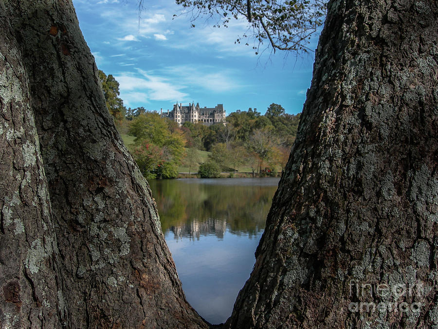 Biltmore Through The Trees Photograph