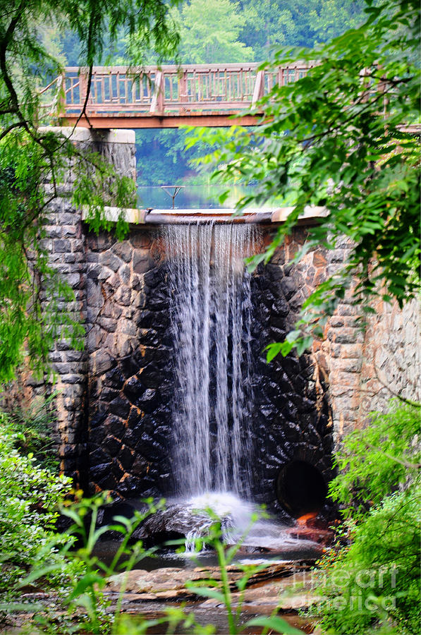 Biltmore Waterfall Photograph by Savannah Gibbs