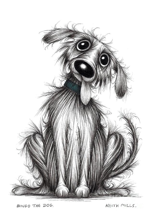 Bingo the dog Drawing by Keith Mills