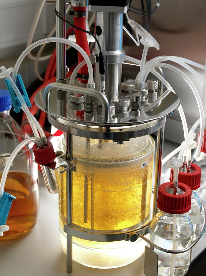 Bioreactor By Andrew Brookes National Physical Laboratory Science Photo Library 1570