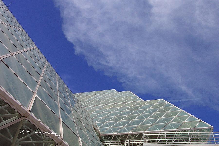 Biosphere 2 Glazing Photograph by R B Harper