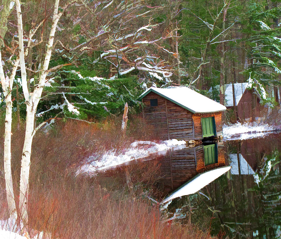 Birch and Boat House Photograph by Barbara McDevitt